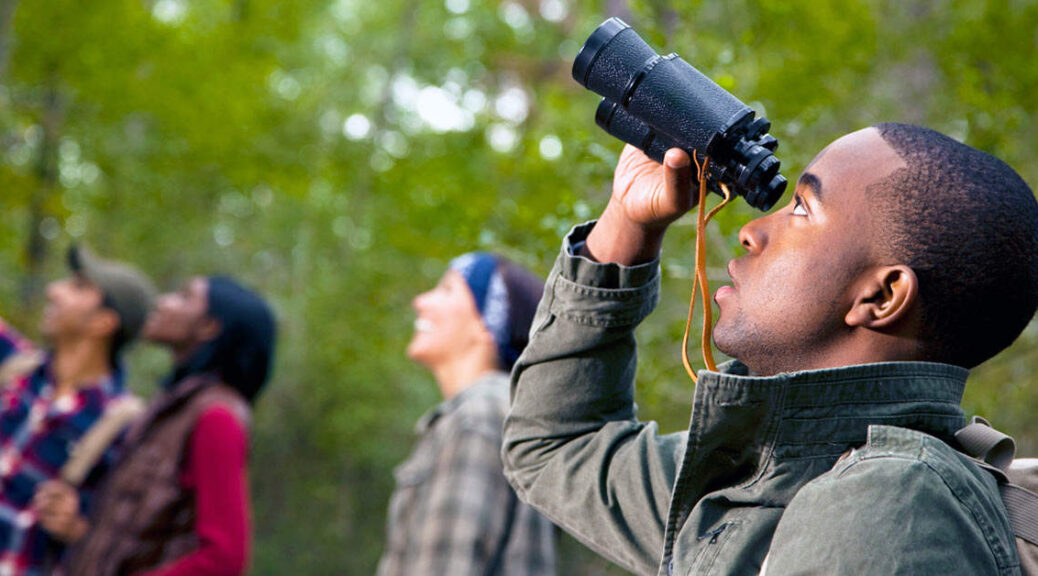 How to choose birding binoculars